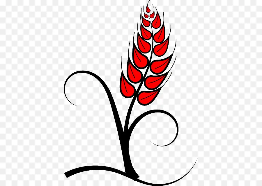 Blé Rouge，Grain PNG