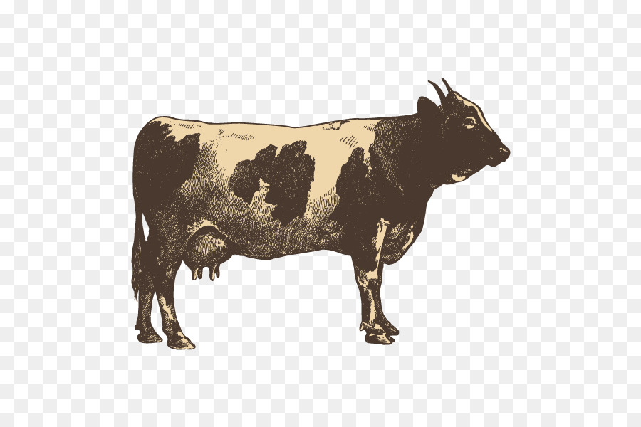 Vache，Bétail PNG