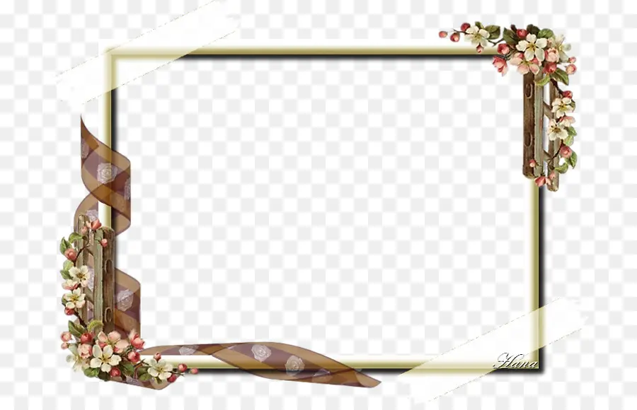 Cadre Photo，Fleurs PNG