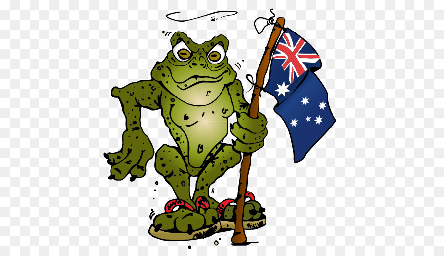 Grenouille，Drapeau PNG