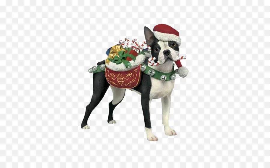 Chien Avec Chapeau De Noël，Vacances PNG