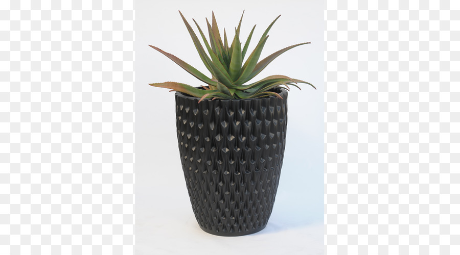 Flowerpot，Punch Planteur PNG