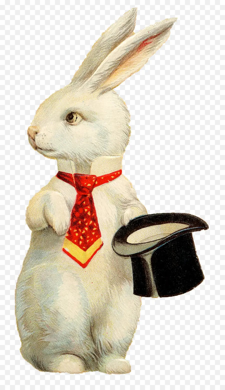 Lapin Blanc，Cravate Rouge PNG