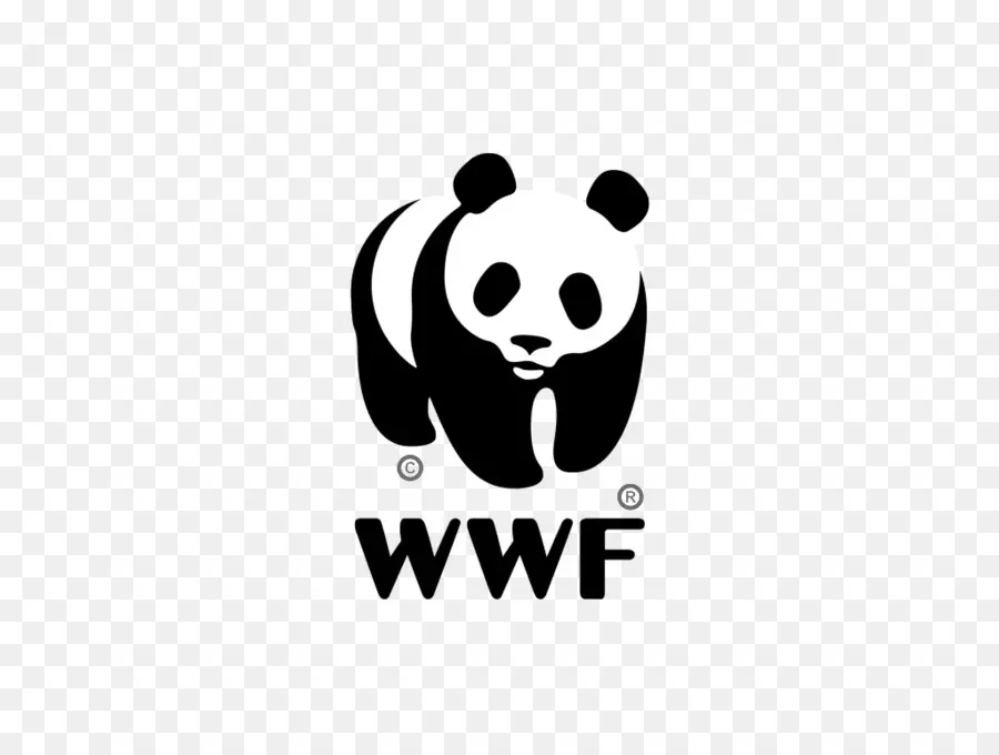 Panda，Wwf PNG