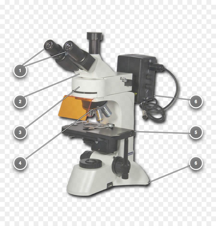 Microscope，Science PNG