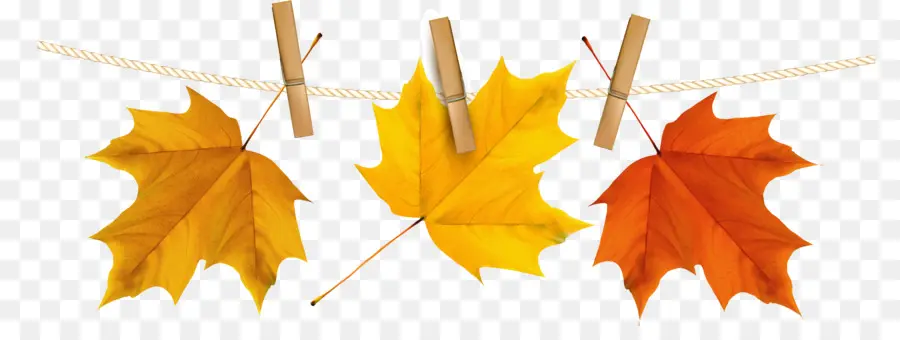 Feuilles D'automne，Automne PNG