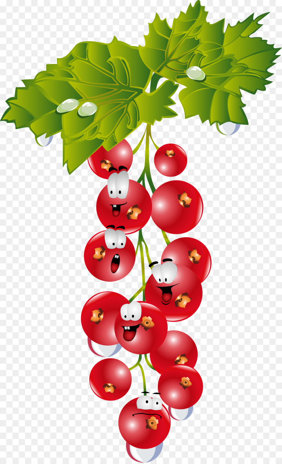 Raisins Rouges，Bouquet PNG