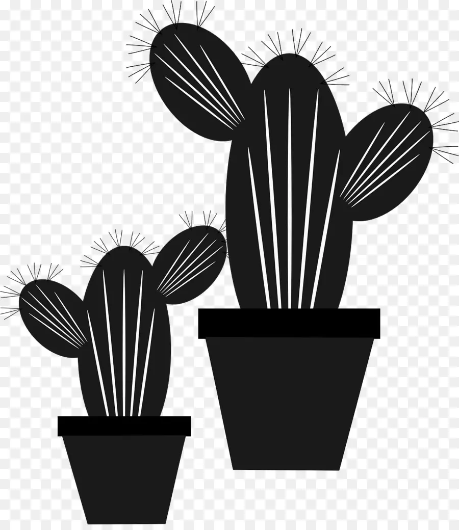 Cactus，Cactus De Cactus PNG