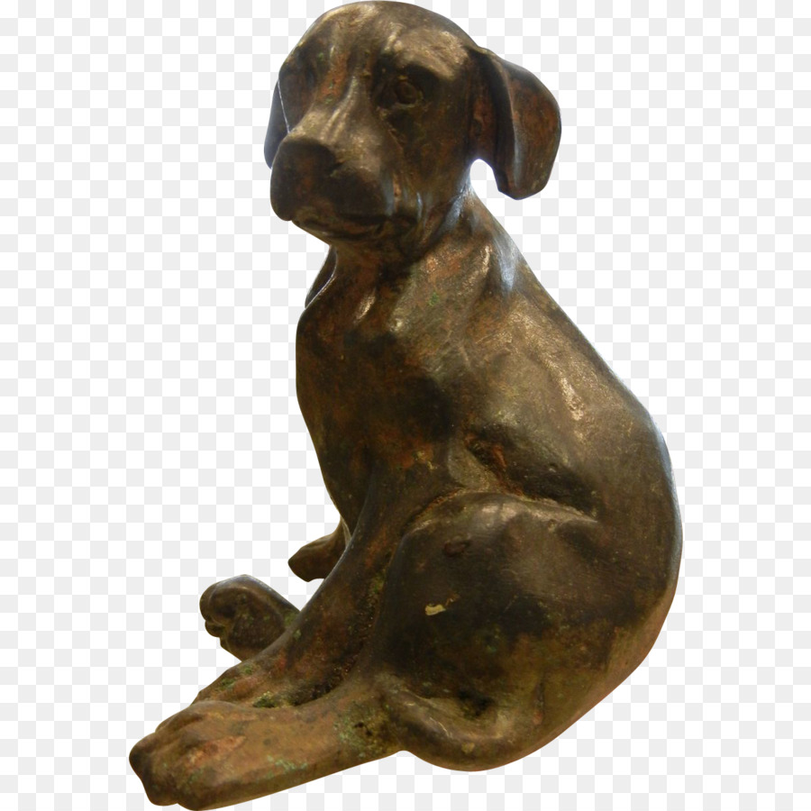 Race De Chien，Bronze PNG