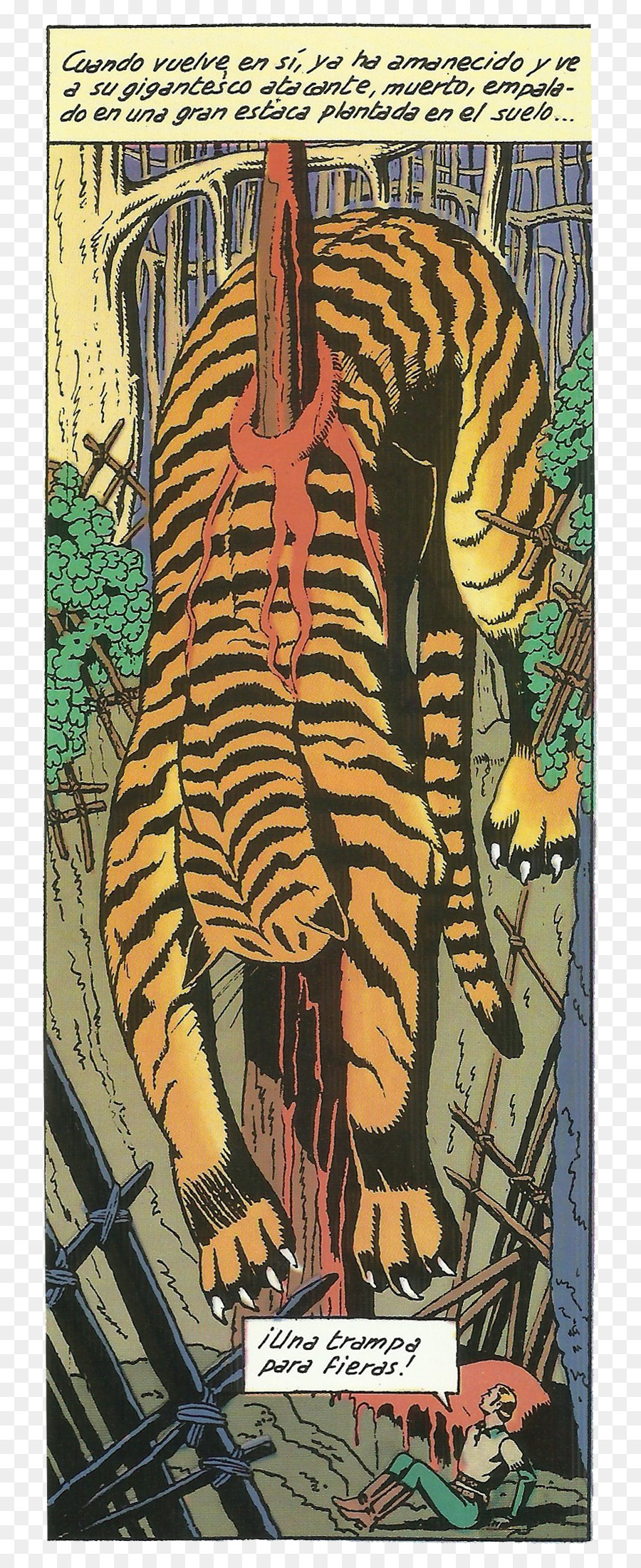 Tigre，Des Bandes Dessinées PNG