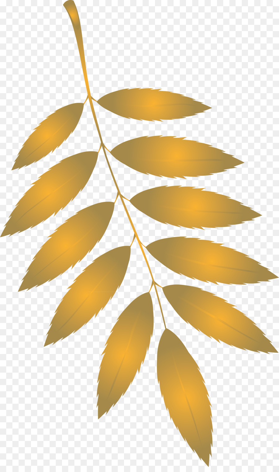 Feuilles D'or，Bifurquer PNG