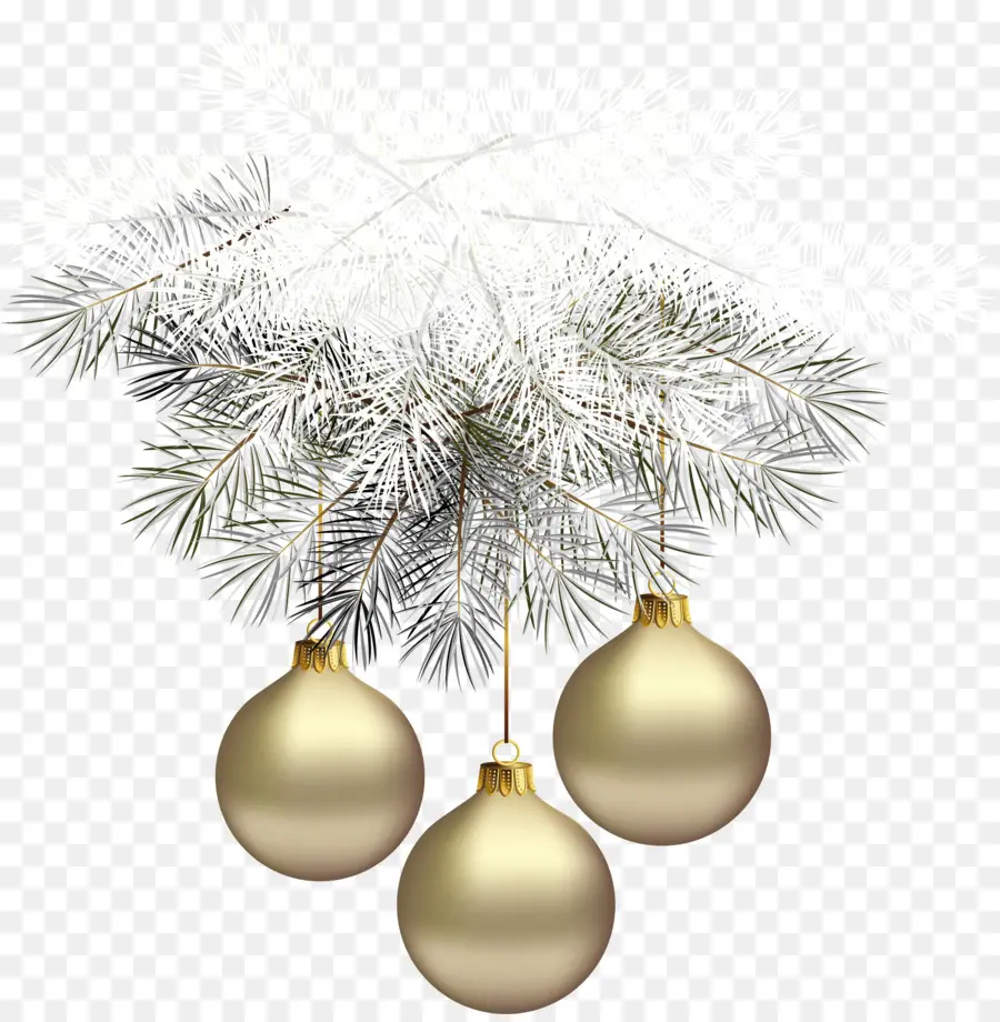 Ornements De Noël，Branche De Pin PNG