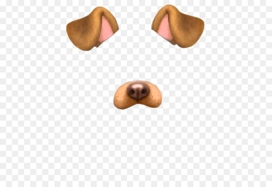 Visage De Chien，Oreilles PNG