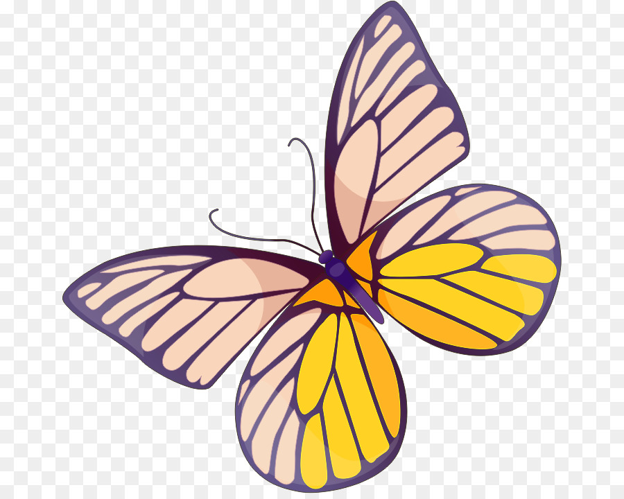 Papillon，Fleur PNG