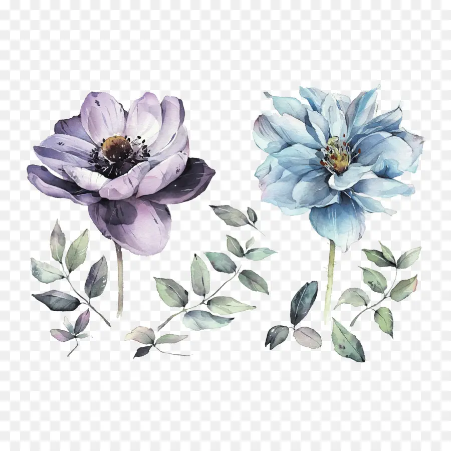 Aquarelle Fleurs，Peinture à L Aquarelle PNG