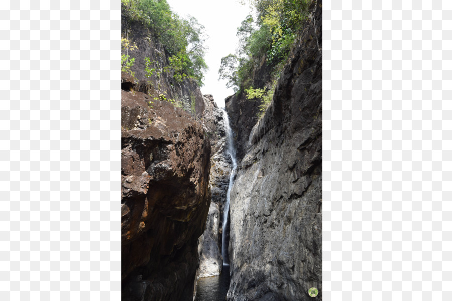 Chute D Eau，La Réserve Naturelle De PNG