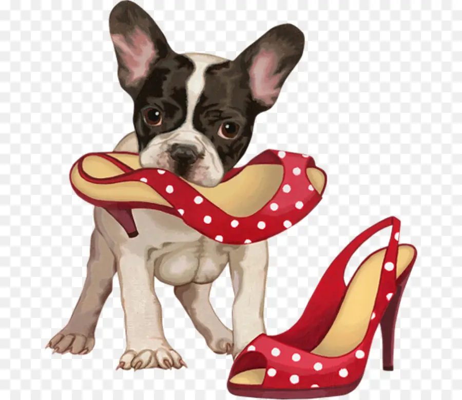 Chiot Avec Chaussure，Chien PNG