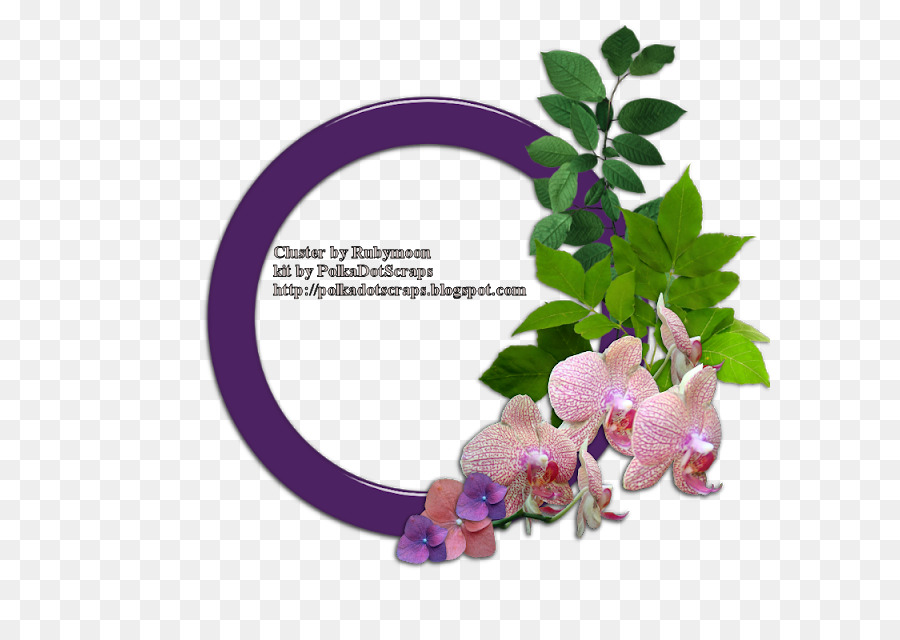 Cadre Floral，Fleurs PNG