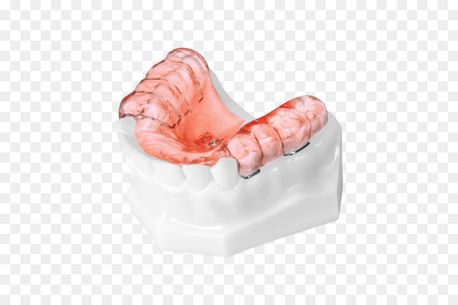 Dent，L Orthodontie PNG