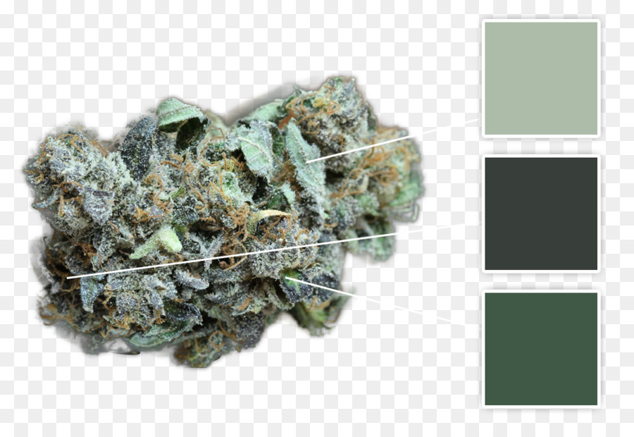 Minérale，Le Cannabis Médical PNG