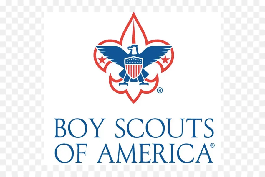 Logo Des Scouts，Organisation PNG