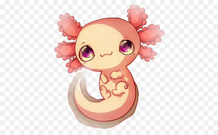 Axolotl，Mignon PNG