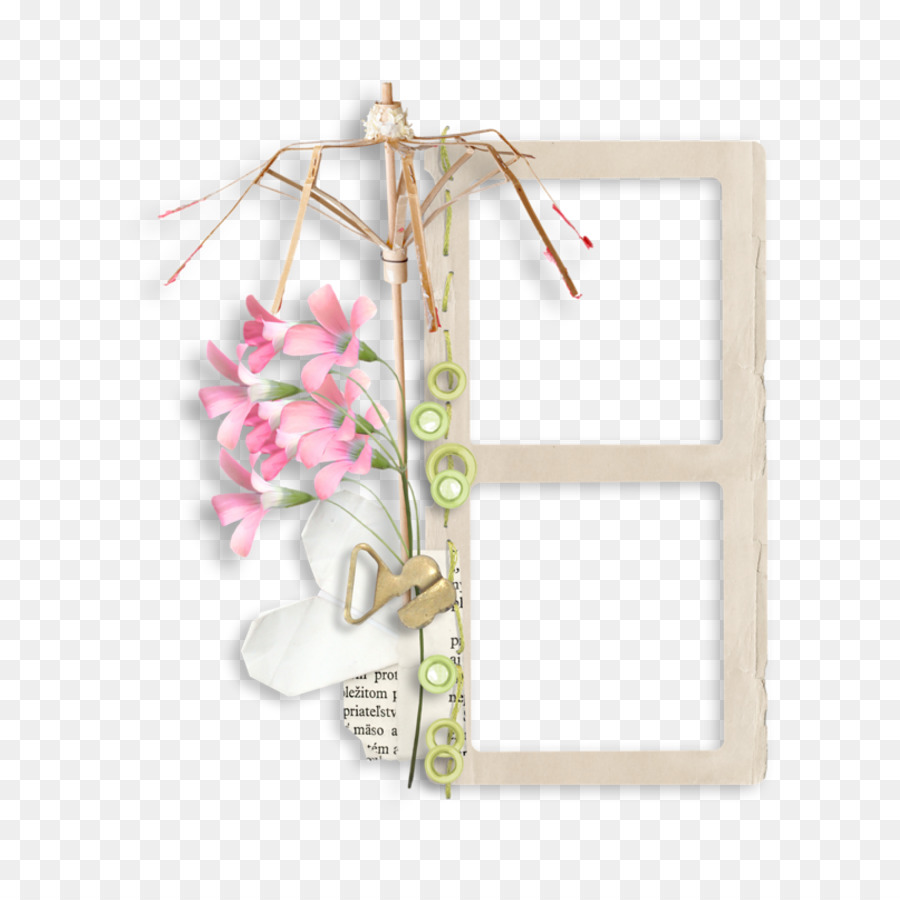 Cadre Décoratif，Fleurs PNG