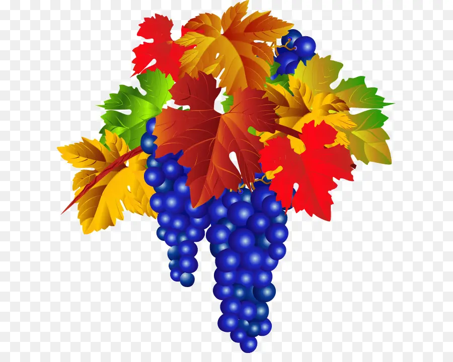 Raisins，Feuilles PNG