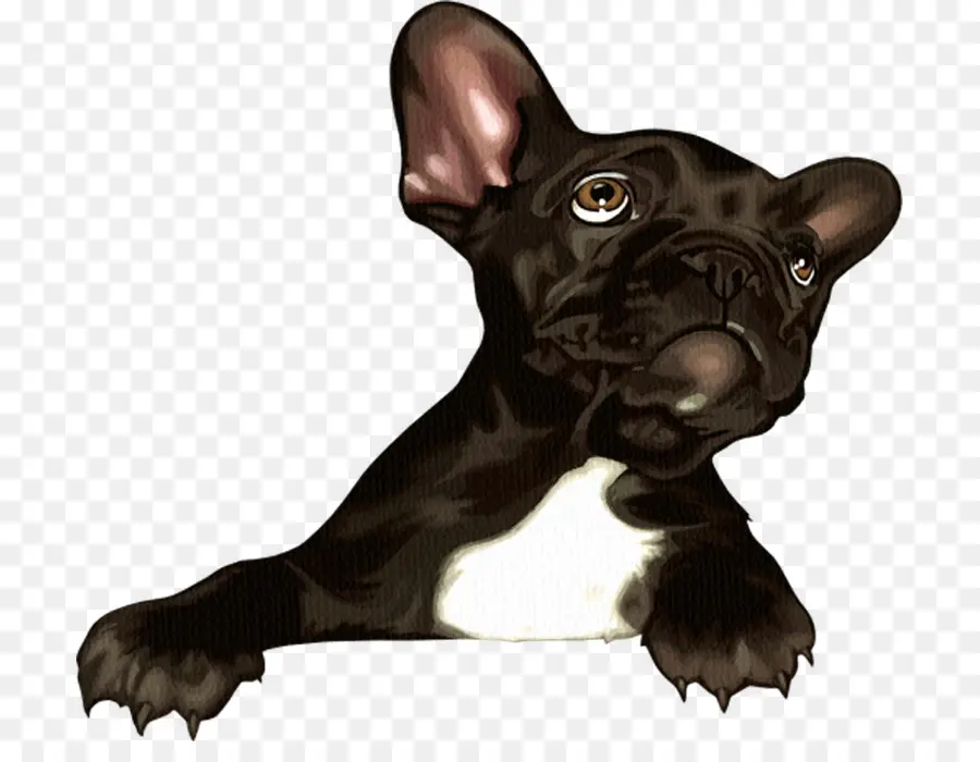 Chien Noir，Animal De Compagnie PNG