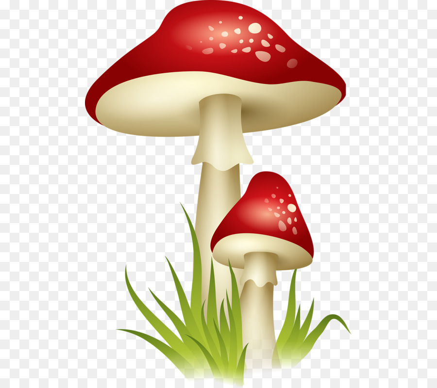 Champignons Rouges，Champignons PNG