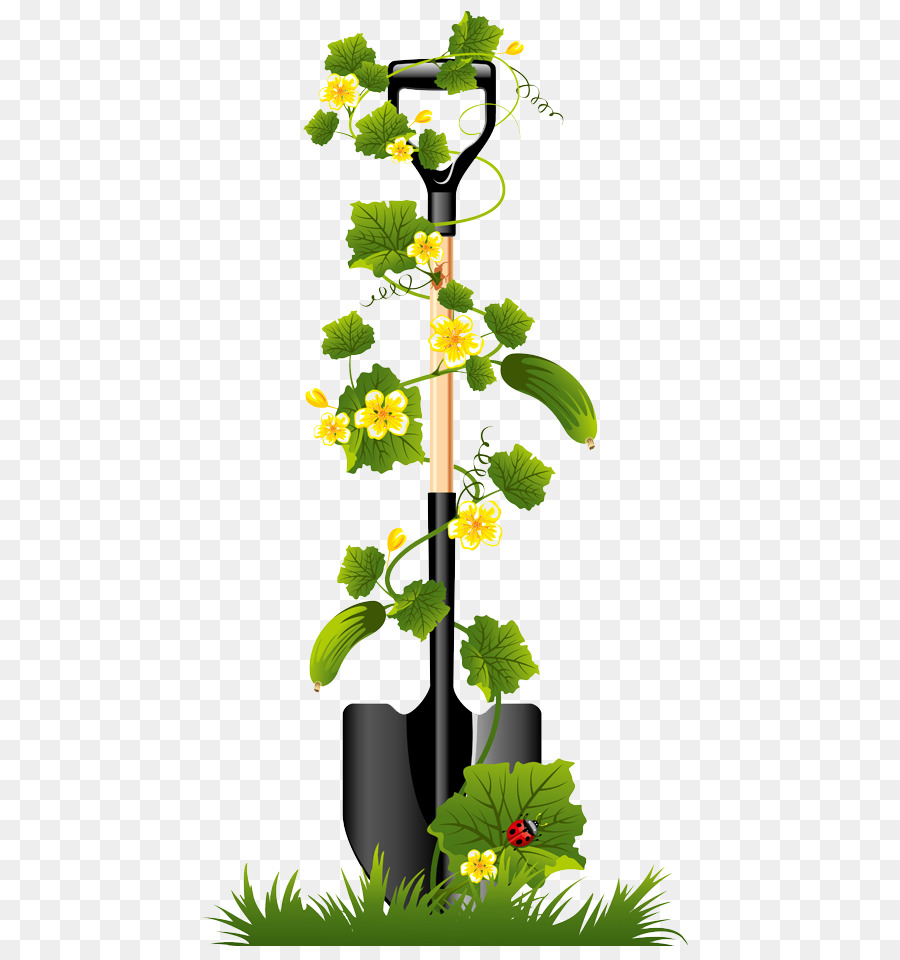 Pelle Avec Des Plantes，Plantes PNG