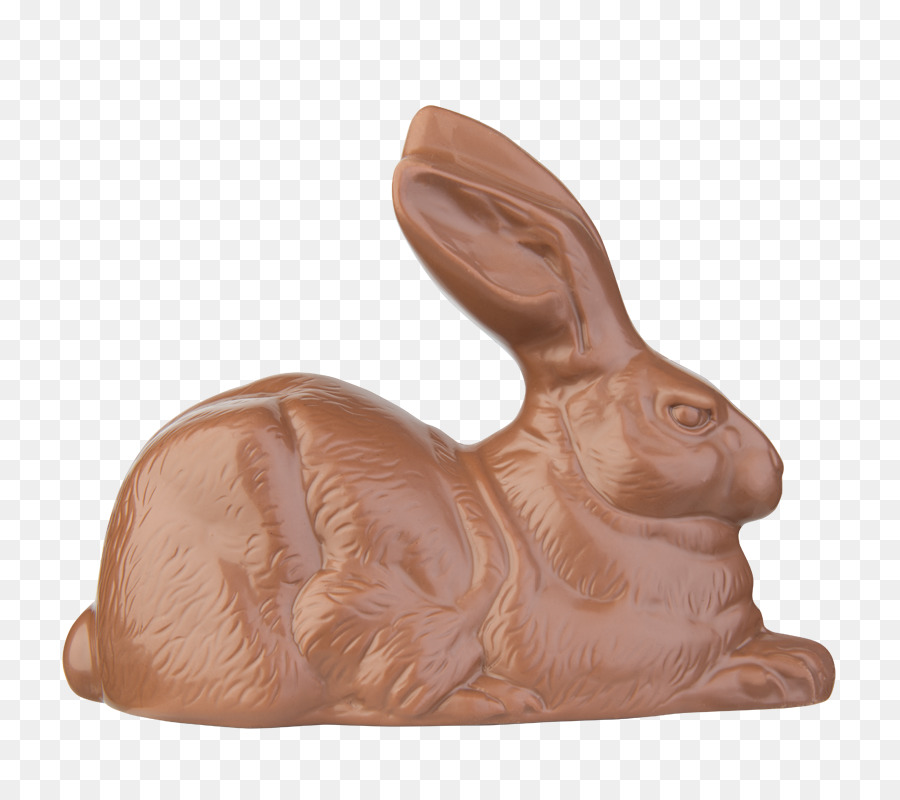 Un Lapin Domestique，Lapin PNG