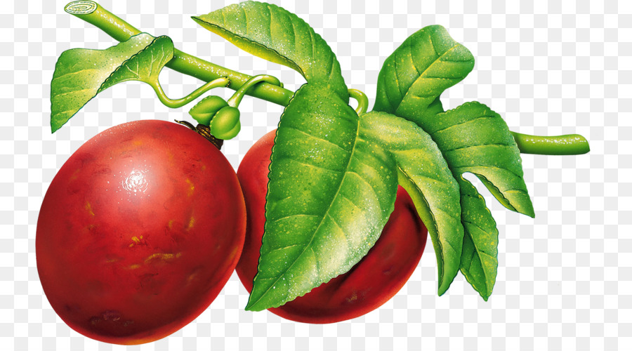 Prunes，Bifurquer PNG