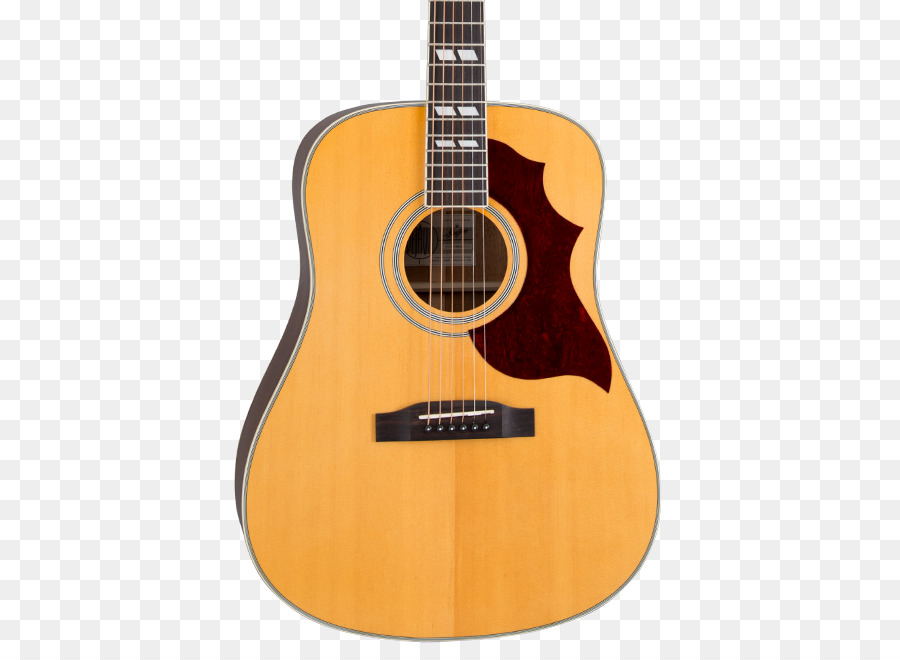 Instruments De Musique，Guitare PNG