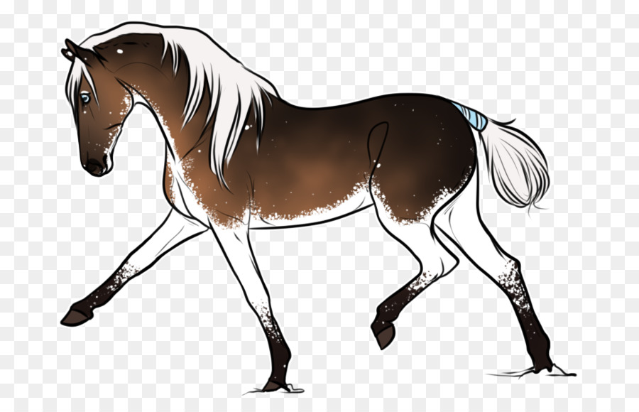 Chevaux，Poulain PNG