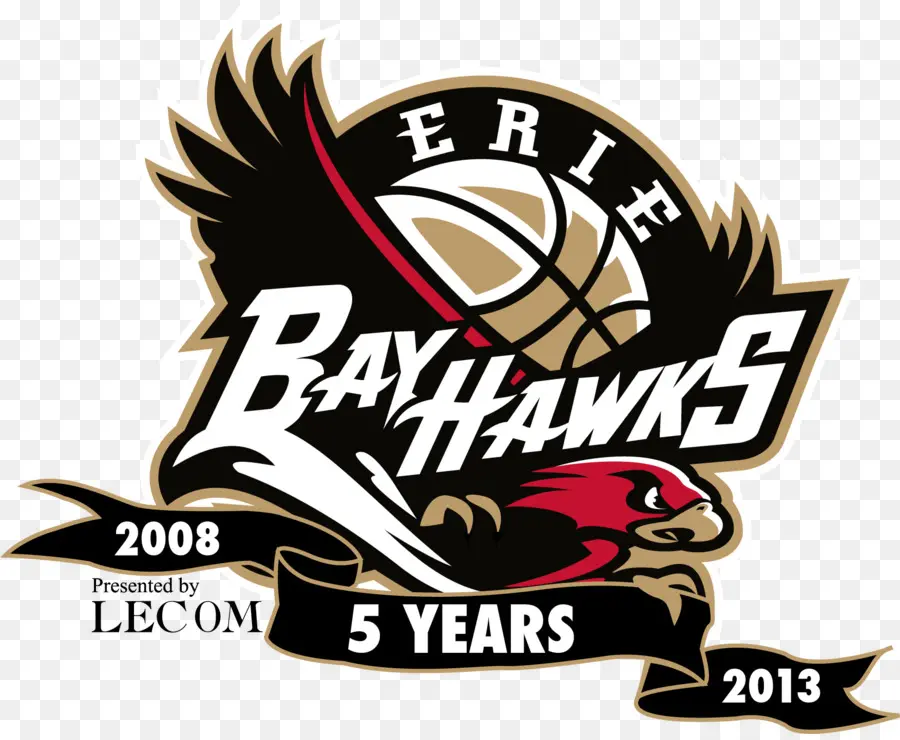 Logo Des Bayhawks D'Érié，Basket Ball PNG