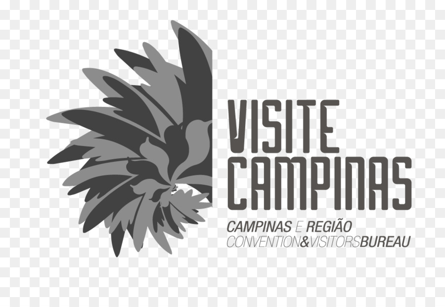 Logo，Radisson Campinas PNG