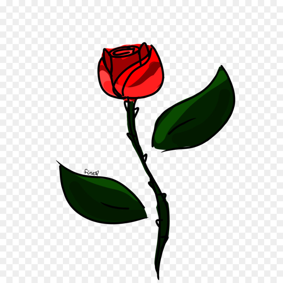 Rose，Rouge PNG