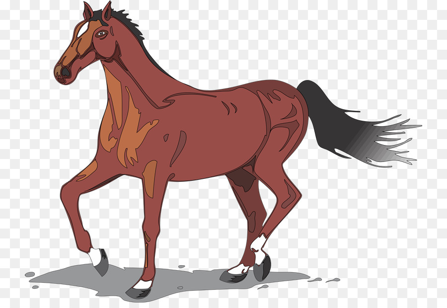 Cheval，équidé PNG