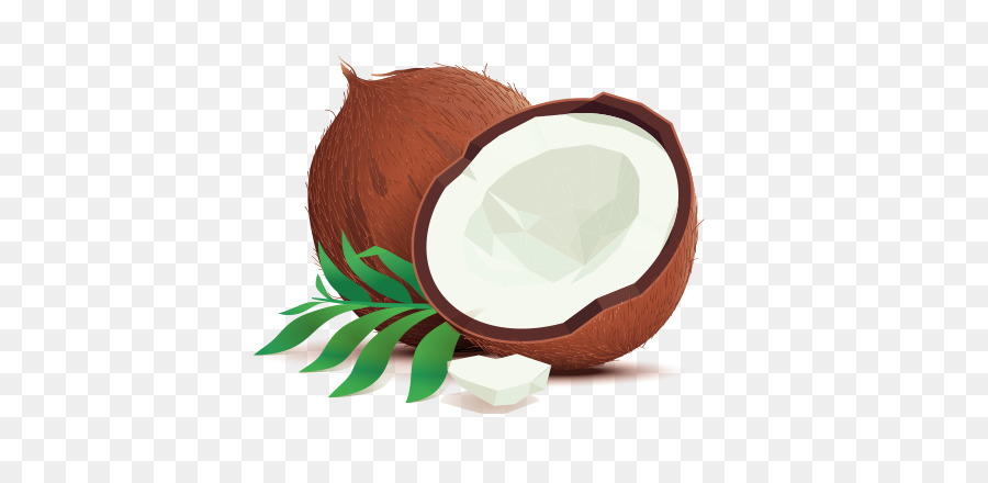 Eau De Noix De Coco La Noix De Coco Dessin Png Eau De Noix De Coco La Noix De Coco Dessin Transparentes Png Gratuit