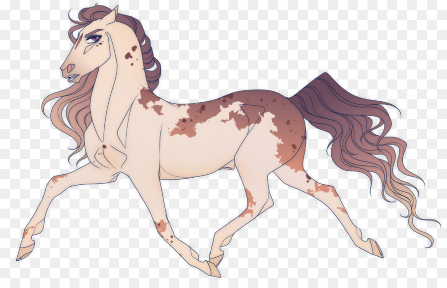 Crinière，Poney PNG