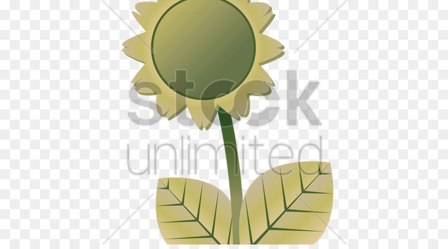 Tournesol M，Feuille PNG