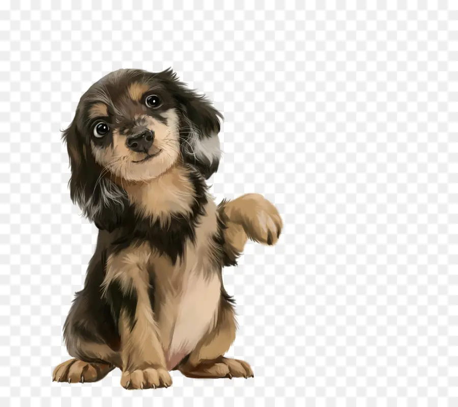 Chiot Mignon，Chien PNG