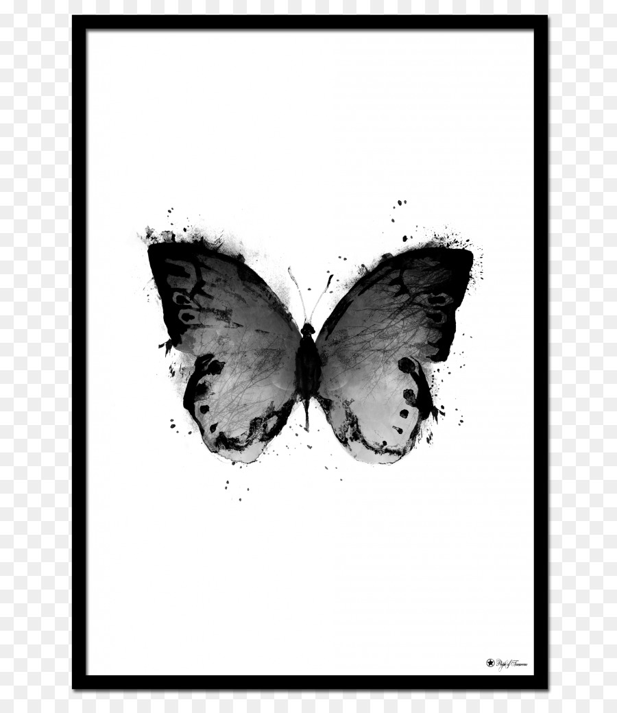 Papillon Noir，Insecte PNG