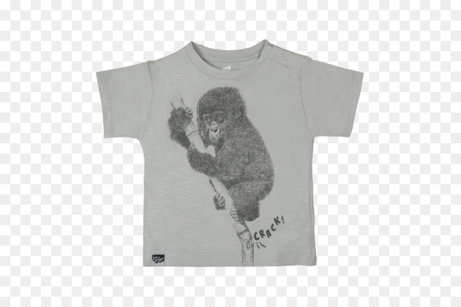 T Shirt，Loisirs PNG