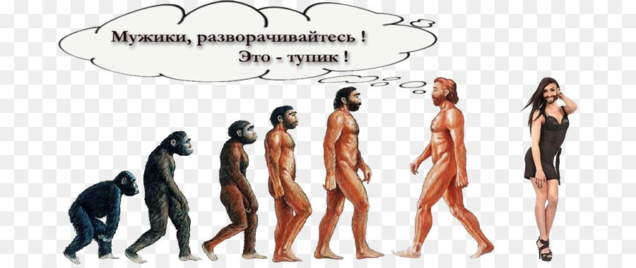 L évolution，Baise PNG