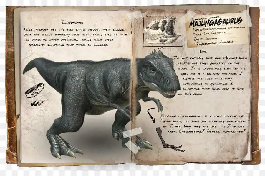 Majungasaurus，Arche De Survie évolué PNG