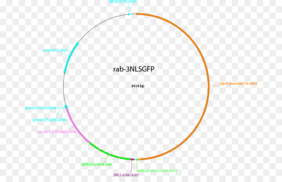 Diagramme，Angle PNG