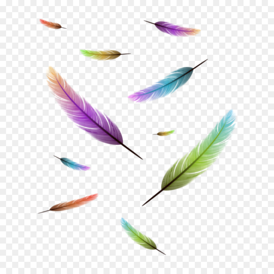 Plume Dessin Oiseau Png Plume Dessin Oiseau