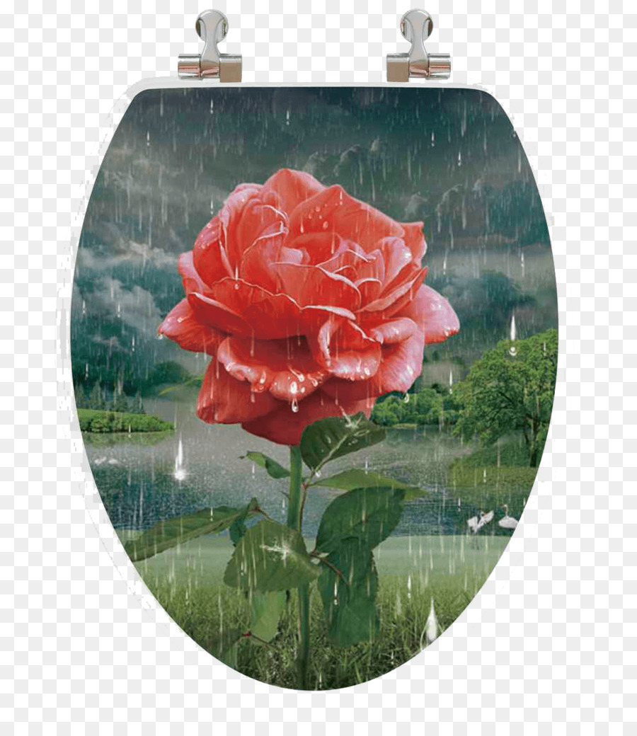 Roses De Jardin，Sièges De Bidet De Toilette PNG